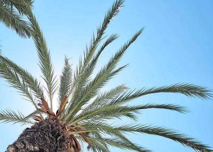 Apartament Casa Dorsya - Near The Beach, Torrevieja, Spain *